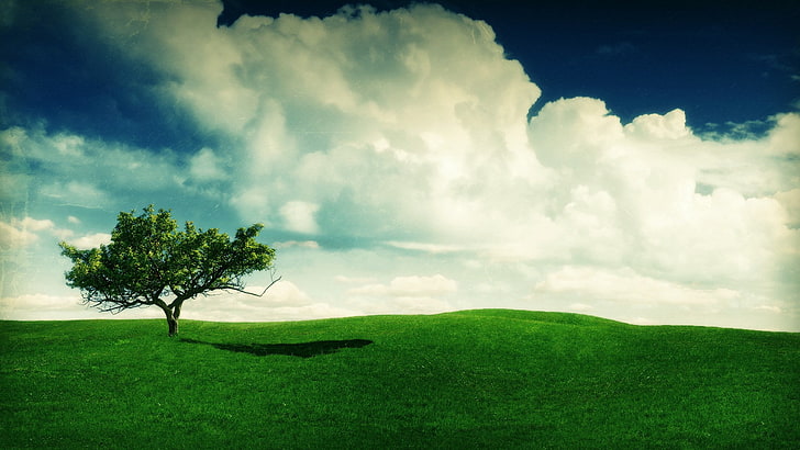 HD wallpaper: summer pc backgrounds hd, cloud - sky, grass, landscape,  environment | Wallpaper Flare