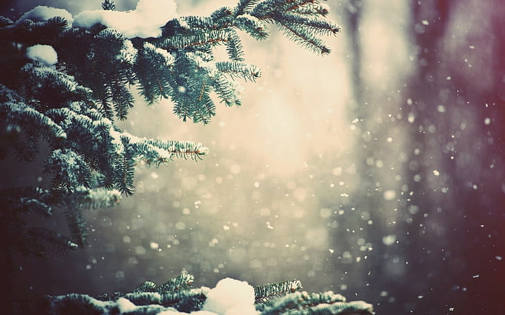 snow, nature, winter, trees, branch, snowy peak, digital art