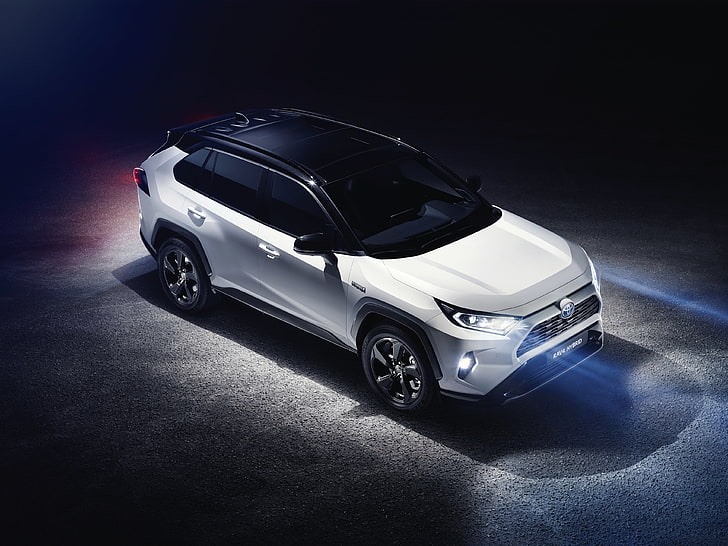 4K, 2019, Toyota RAV4 Hybrid