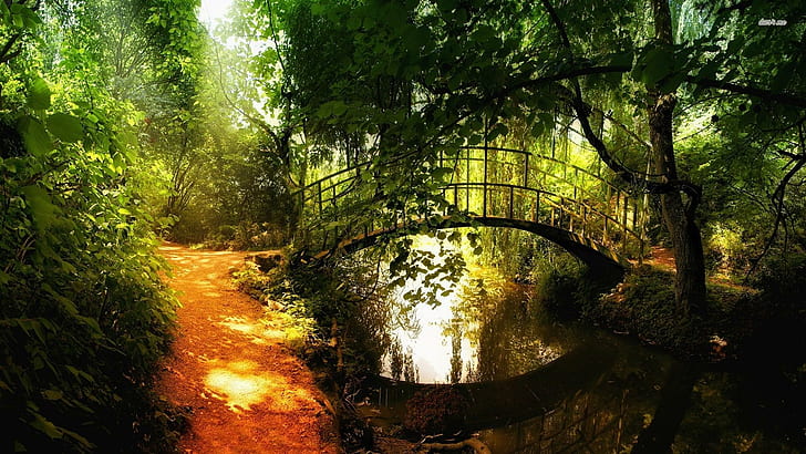 Small Arch Bridge, orange, path, nature, leaves, green, forest