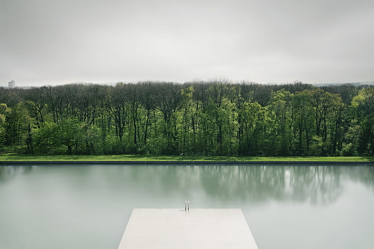 photo of body of water near forest, grass, calm waters, minimalism