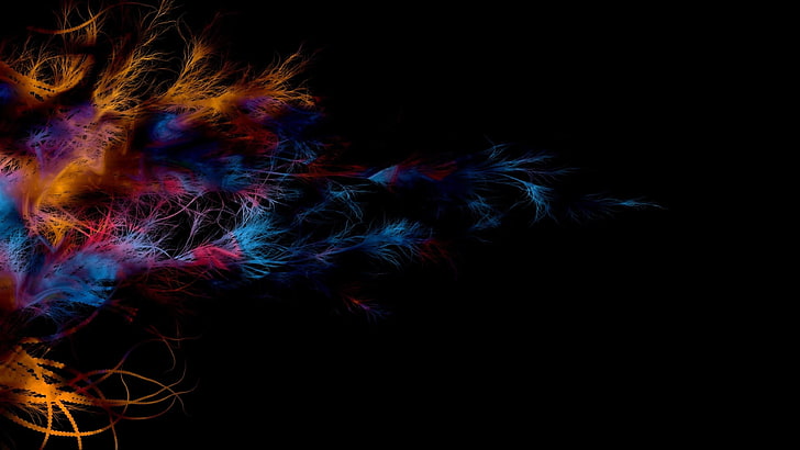 feathers, lines, patterns, light, dark, colors, multi colored, HD wallpaper