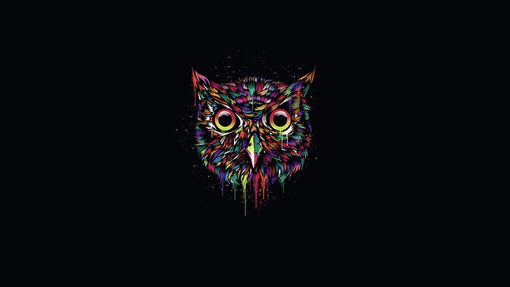 multicolored owl illustration, the dark background, paint, minimalism