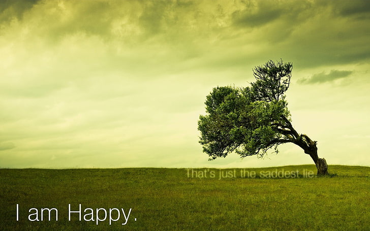 green leafed tree with i am happy text overlay, trees, plant, HD wallpaper