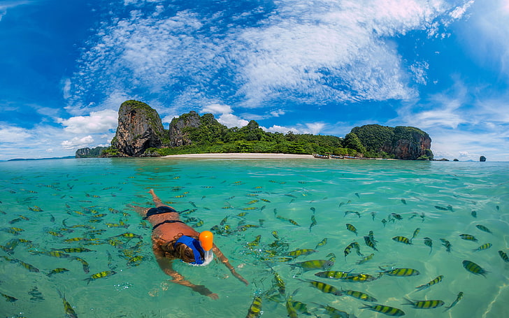 Koh Phi Phi Thailand Exotic Fishes Ocean Blue Water Diving Rocks From Limestone Dense Mangrove Forest Beaches Sky White Clouds Wallpaper Hd For Desktop 3840×2400, HD wallpaper