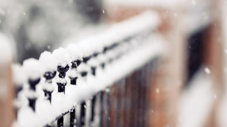 selective focus photography of snow, depth of field, fence, metal