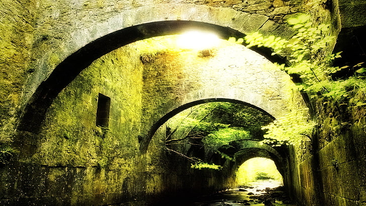 brown stone archway, medieval, bridge, stones, green, nature
