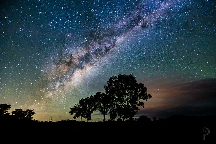 photo of silhouette tree under starry night, Wonders, of the Night, HD wallpaper