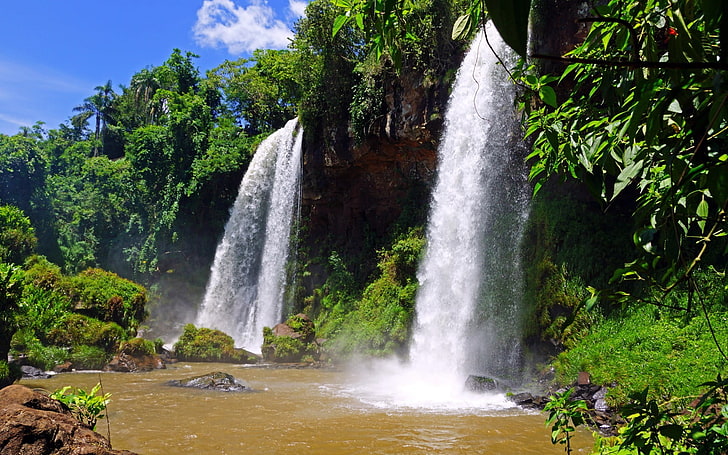 waterfalls and plants, jungle, nature, tree, scenics - nature