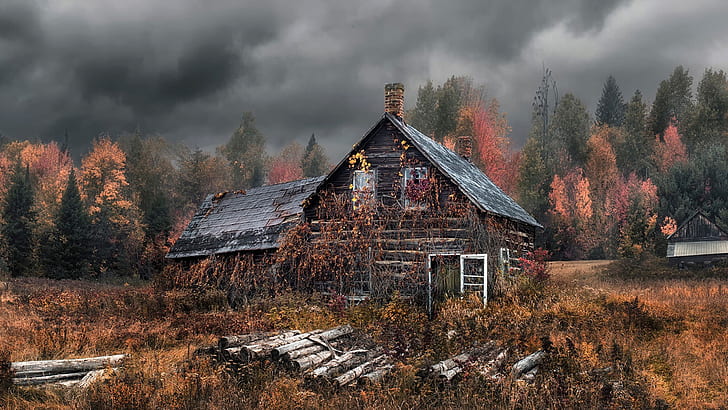 Old house, autumn, forest, HD wallpaper