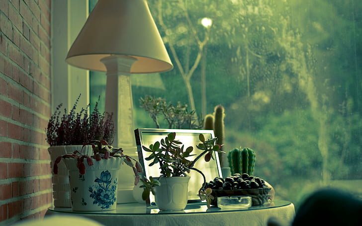 HD wallpaper: Peaceful Corner Of The House, harmony, window, rain, lamp,  flowers | Wallpaper Flare