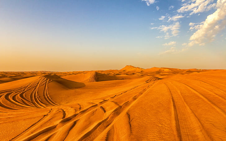 landscape, desert, sand, dunes, sand dunes