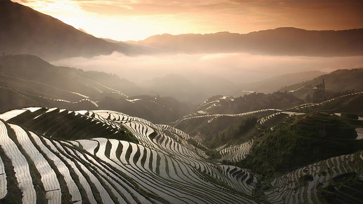 aerial photography of rice terraces, rice fields, mountains, fog, HD wallpaper