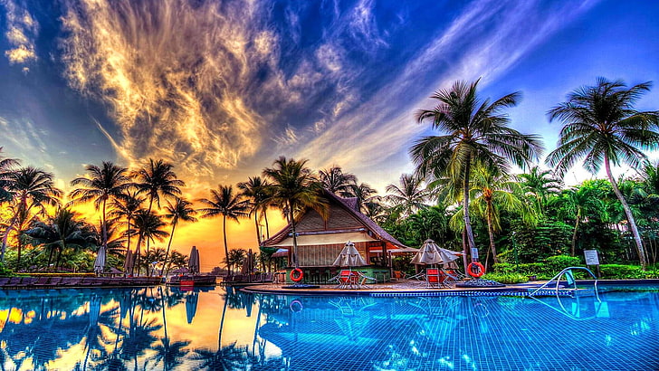 palm tree, beach, umbrellas, swimming pool, palms, summer, holiday, HD wallpaper