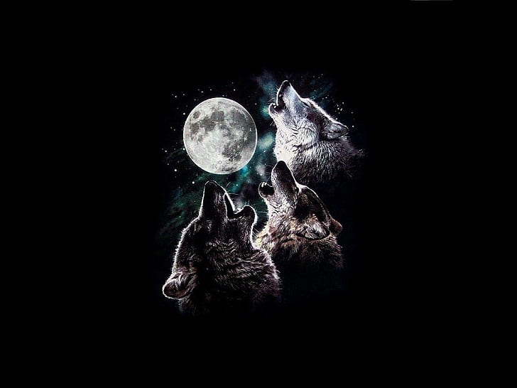 3 wolf moon howling Moon Night sky stars three trio wolves HD, HD wallpaper