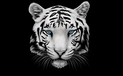 HD wallpaper: white tiger wallpaper, mustache, face, head, animal, mammal,  wildlife | Wallpaper Flare