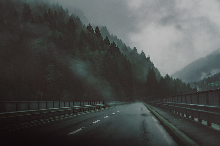 black asphalt road, highway, trees, mist, transportation, the way forward, HD wallpaper