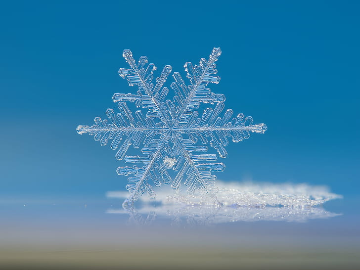 macro photography of snowflake, winter, christmas, blue, backgrounds