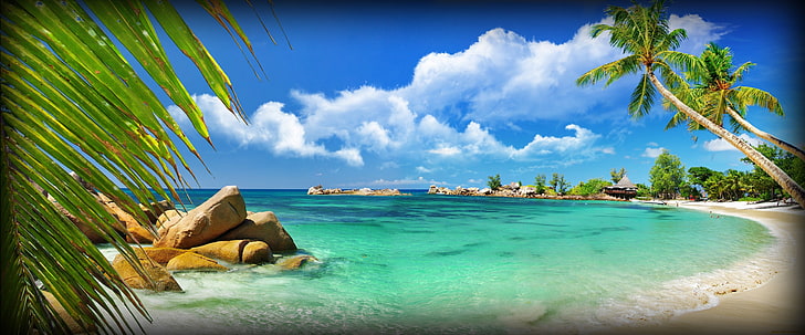coast, water, tropical climate, sky, sea, beach, land, scenics - nature, HD wallpaper