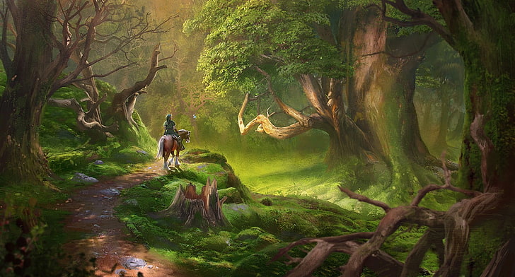lost woods from The Legend of Zelda, Link, tree, forest, nature, HD wallpaper