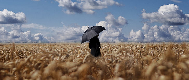 wheat, field, umbrella, clouds, sky, HD wallpaper