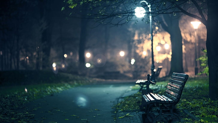 brown wooden bench, night, park, nature, tree, plant, seat, park - man made space, HD wallpaper