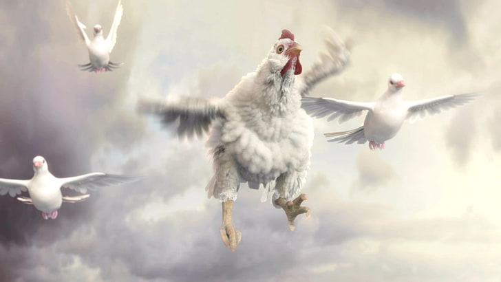 animals, Chicken, dove, Fable, Fable 3, sky