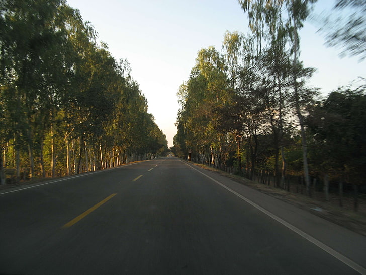 ahead, road, sunset, tree lines, transportation, direction
