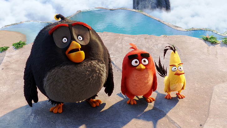 Angry Birds movie, chuck, red, bomb, Best Animation Movies of 2016, HD wallpaper