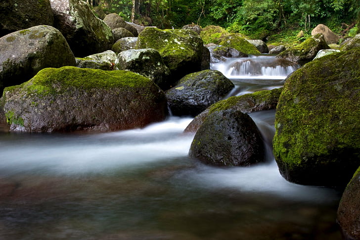 rocks with moss and river with fog, water, stone, waterfalls