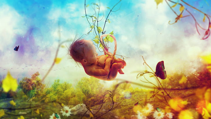 Creation Baby In Womb 4K 8K, HD wallpaper