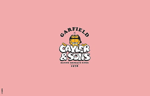 Hd Wallpaper Cayler And Sons Garfield Pink Simple Simple Background Wallpaper Flare