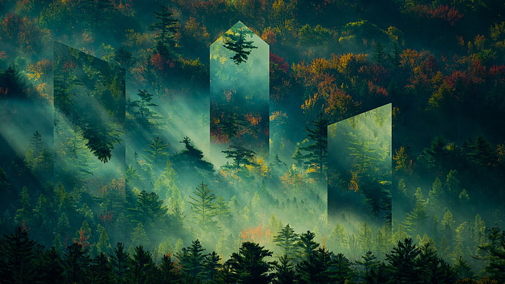 green trees digital wallpaper, mountains, forest, fall, sunlight