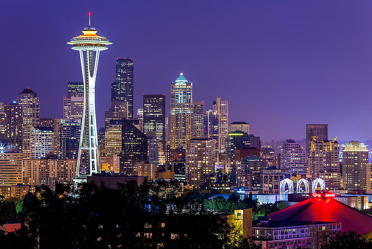 Space Needle, Seattle, the sky, night, city, the city, lights, HD wallpaper