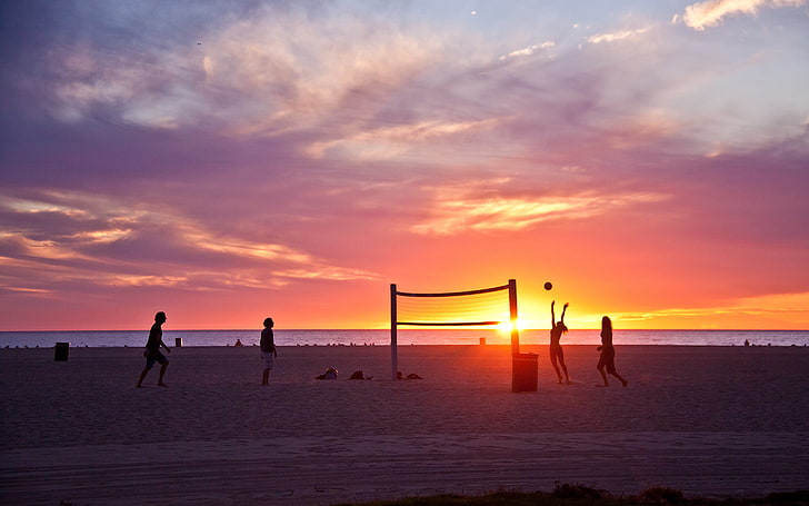 volleyball net and body of water, summer, california, beach, ocean, HD wallpaper