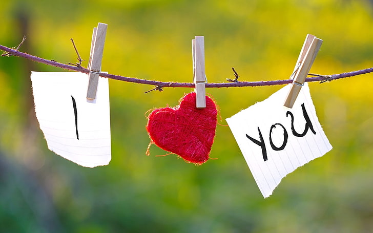 i love you text, acceptance, clothespins, rope, clothesline, hanging, HD wallpaper