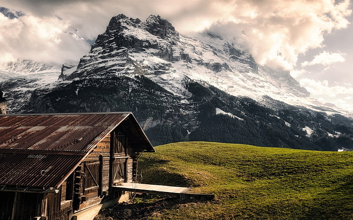 brown wooden house, nature, landscape, mountains, cabin, forest
