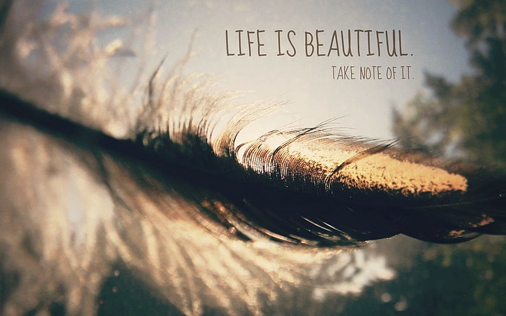 Life Is Beautiful Wallpaper  Download to your mobile from PHONEKY