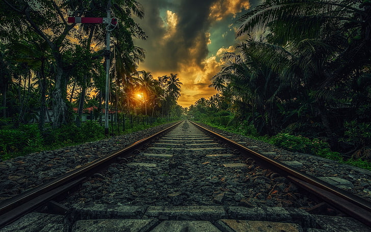 train railway wallpaper, nature, landscape, sunset, palm trees, HD wallpaper