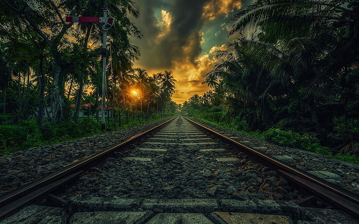 nature, Sri Lanka, railway, clouds, landscape, sunset, palm trees