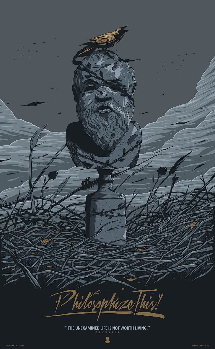 Conrado Salinas, Socrates, birds, raven, quote, HD wallpaper