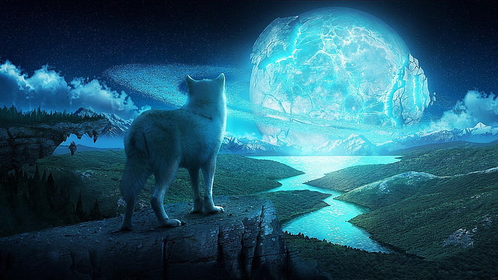 wolf, planet, night, sky, fantasy, HD wallpaper