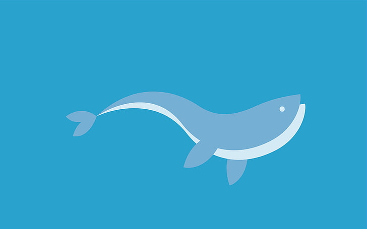 gray and white whale clip art, dolphin, swim, fish, graphics, HD wallpaper