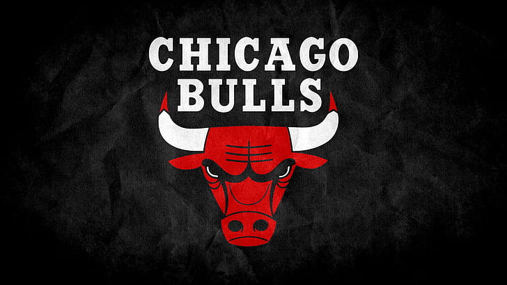 chicago bulls, 2015, logo