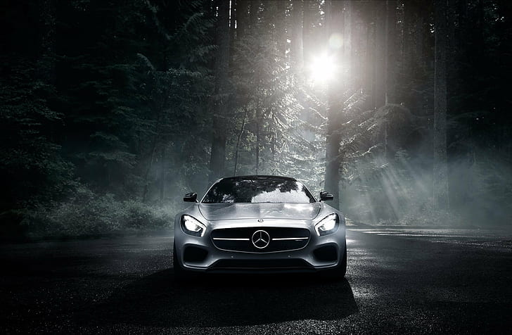 Mercedes-Benz, Dark, Front, AMG, Sun, Color, Silver, Forest, HD wallpaper