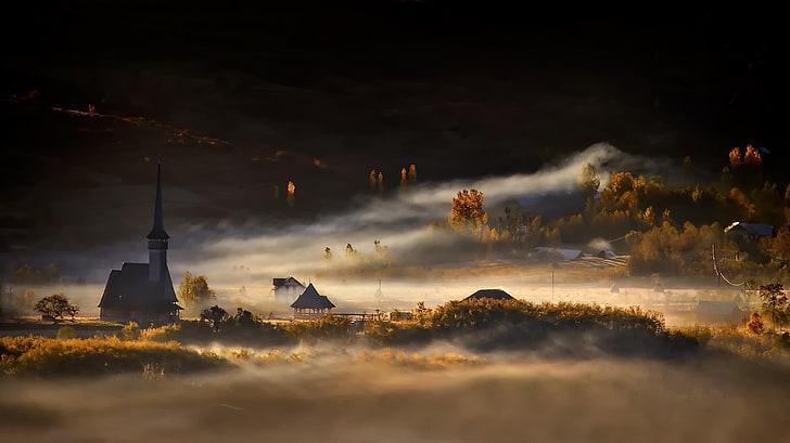 forest field wallpaper, nature, landscape, mist, morning, village