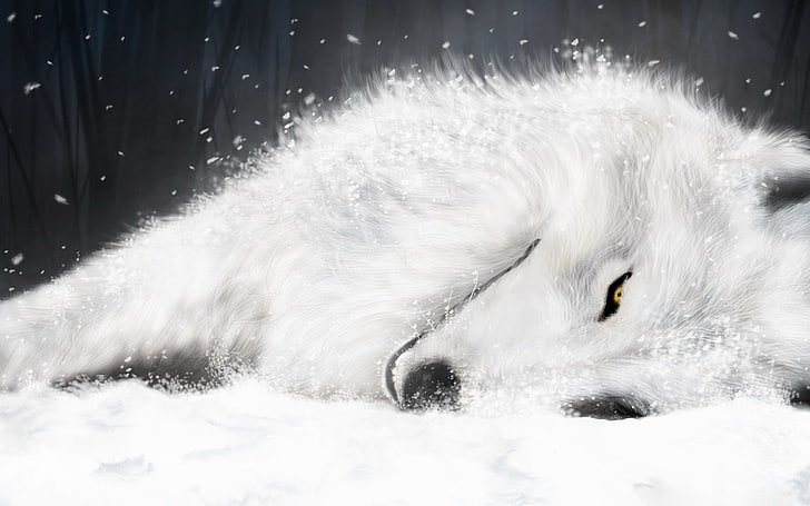 Hd Wallpaper White Wolf Illustration One Animal Animal Themes Pets Vertebrate Wallpaper Flare