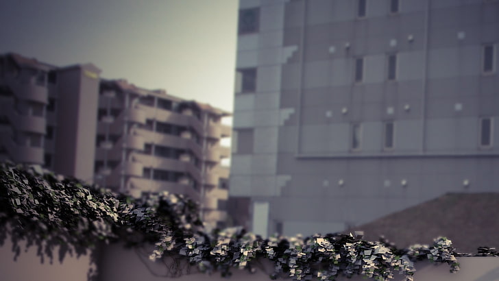 grey high-rise building, gray and black vines on the white concrete terrace, HD wallpaper