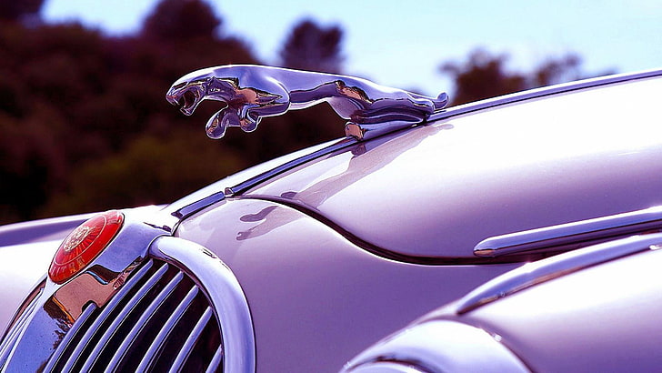 car, jaguar, dream car, vehicle, bonnet, classic, motor vehicle, HD wallpaper