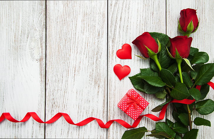 HD wallpaper: bokeh, day, flower, heart-shaped, red, romantic, rose ...